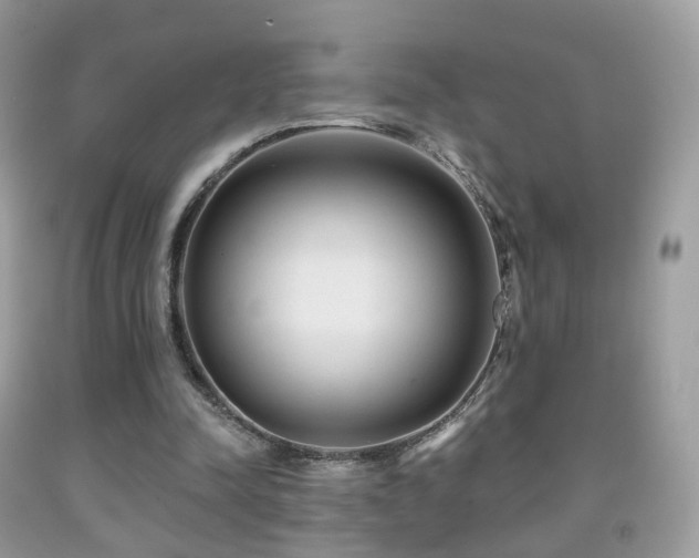X0000091950342200709061245