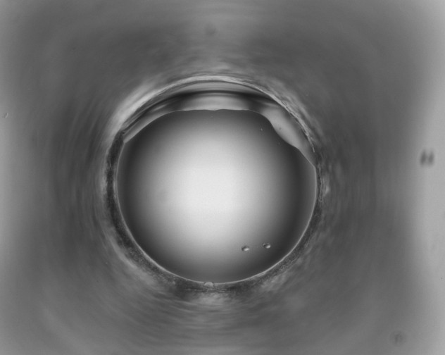 X0000091950344200709061245