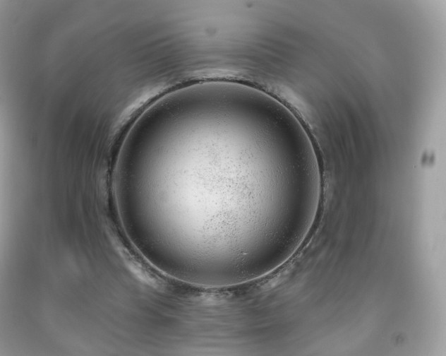 X0000091950345200709061245
