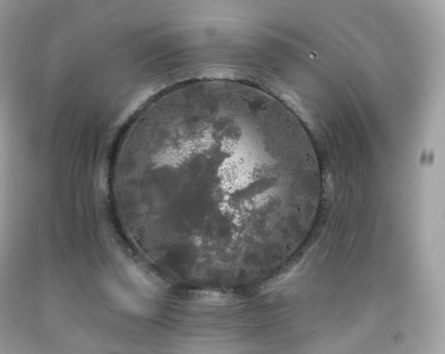 X0000091950347200709061245