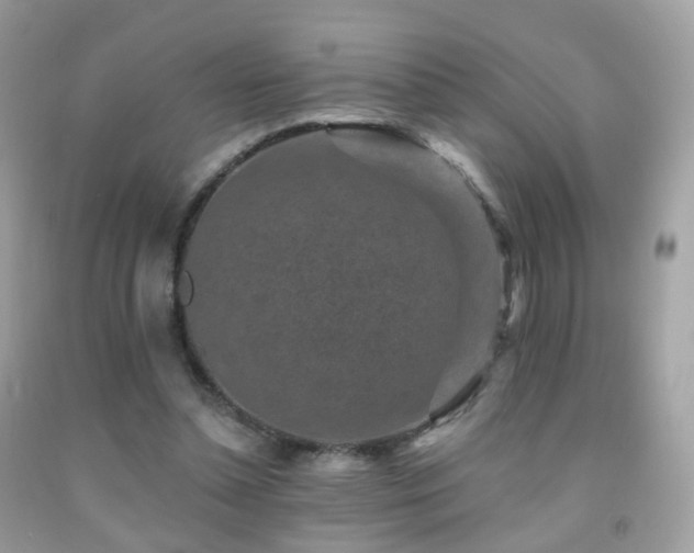 X0000091950348200709061245