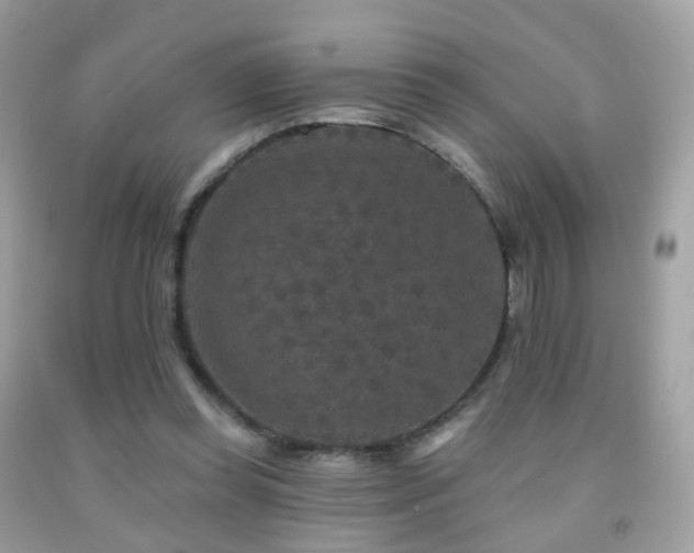 X0000091950349200709061245