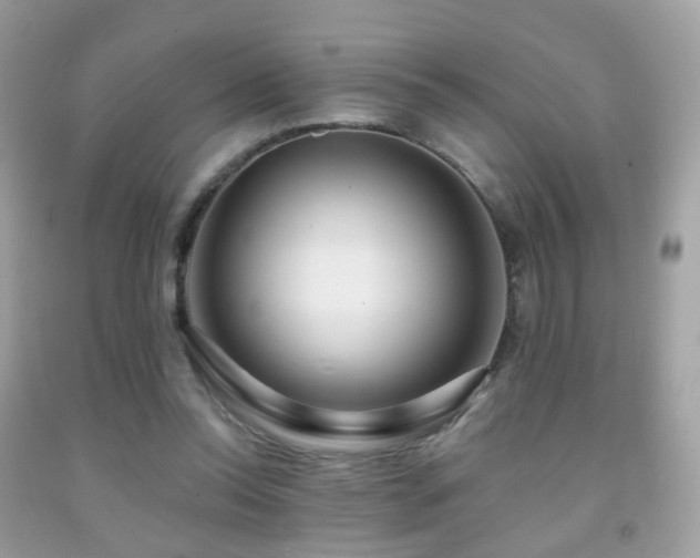 X0000091950350200709061245