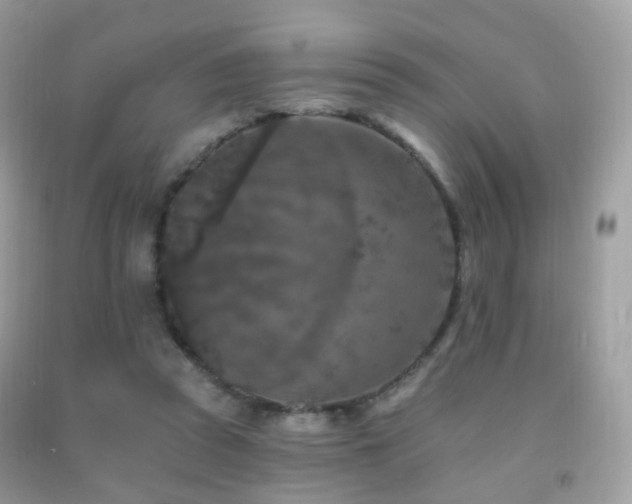 X0000091950353200709061245