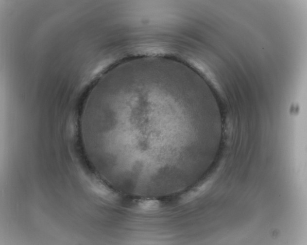 X0000091950355200709061245