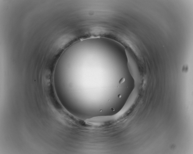X0000091950356200709061245