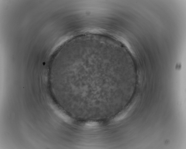 X0000091950357200709061245