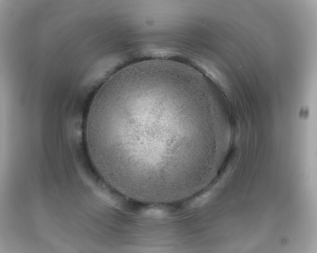 X0000091950358200709061245