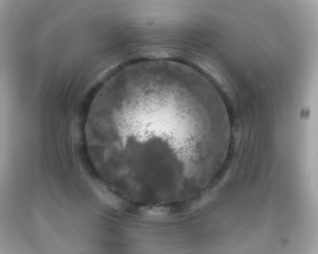 X0000091950359200709061245