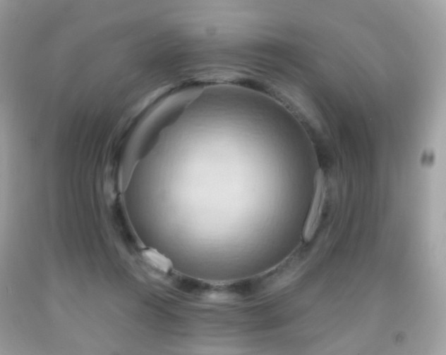 X0000091950360200709061245
