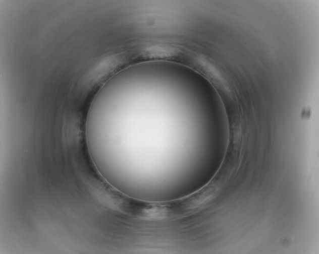 X0000091950362200709061245