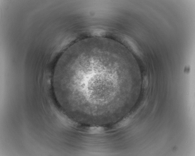 X0000091950363200709061245
