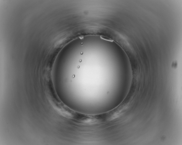 X0000091950364200709061245