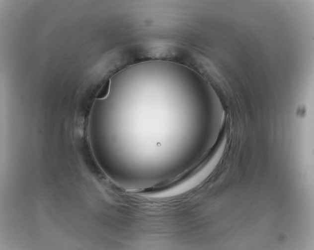 X0000091950368200709061245