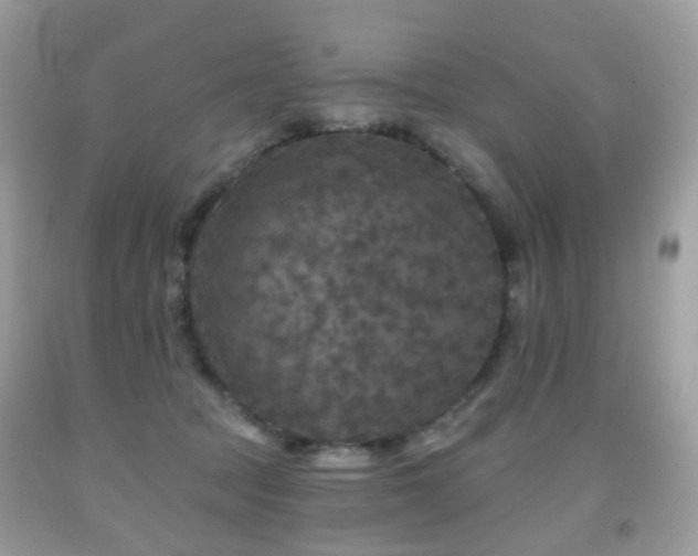 X0000091950369200709061245