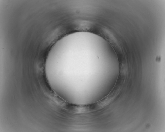X0000091950370200709061245