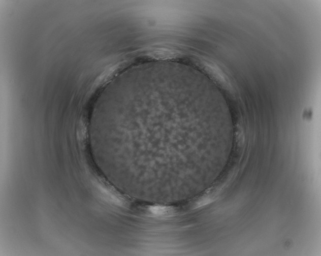 X0000091950371200709061245