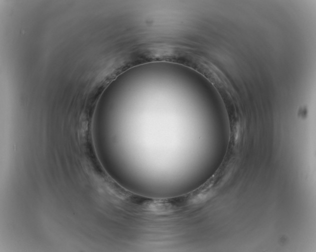 X0000091950372200709061245