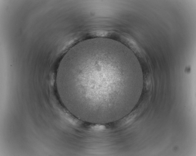X0000091950374200709061245