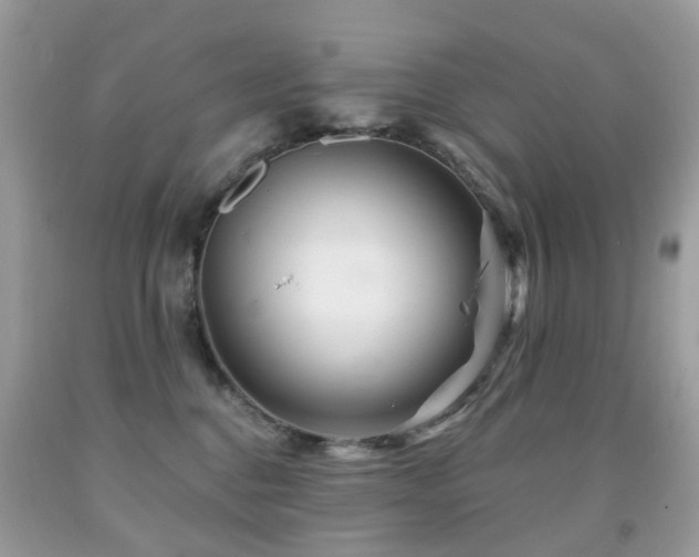 X0000091950376200709061245