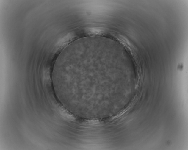 X0000091950377200709061245