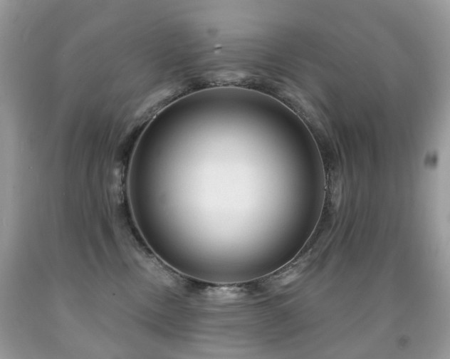 X0000091950378200709061245