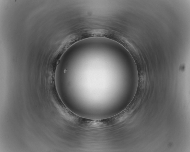 X0000091950379200709061245