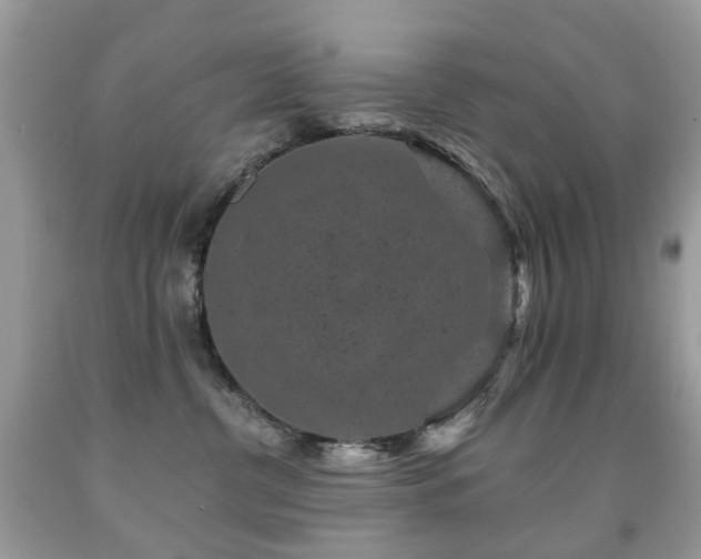 X0000091950380200709061245