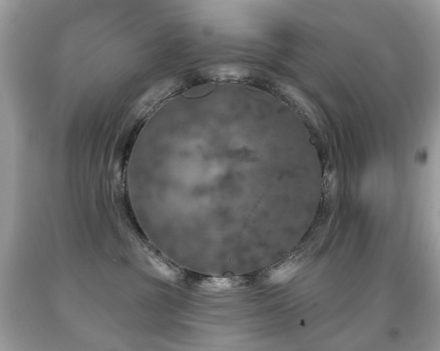 X0000091950381200709061245