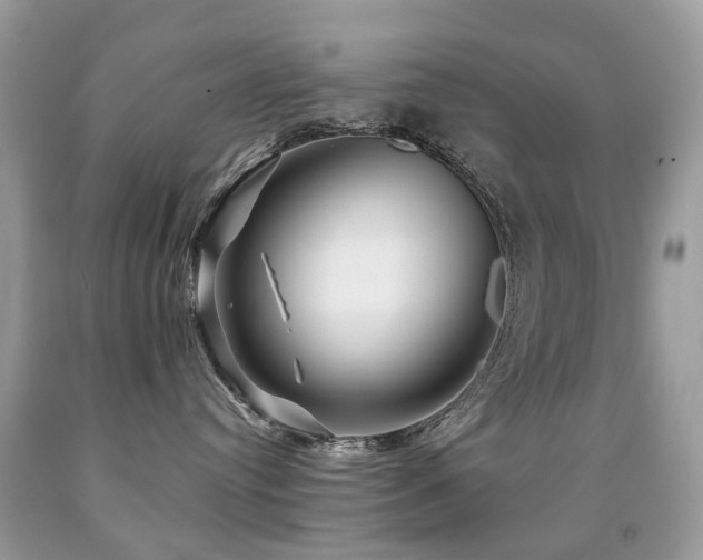 X0000091950384200709061245