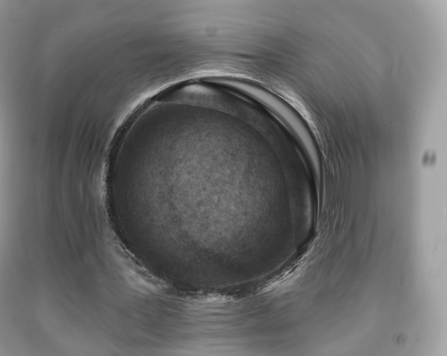 X0000091950387200709061245