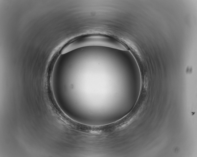 X0000091950388200709061245