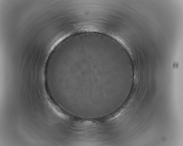X0000091950390200709061245