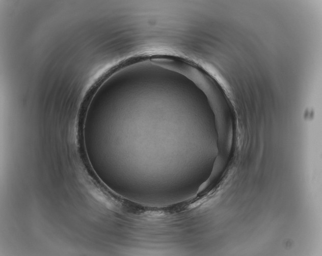 X0000091950391200709061245