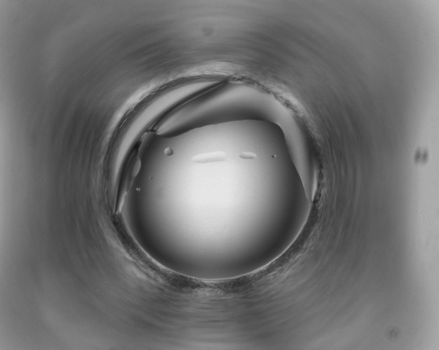 X0000091950392200709061245