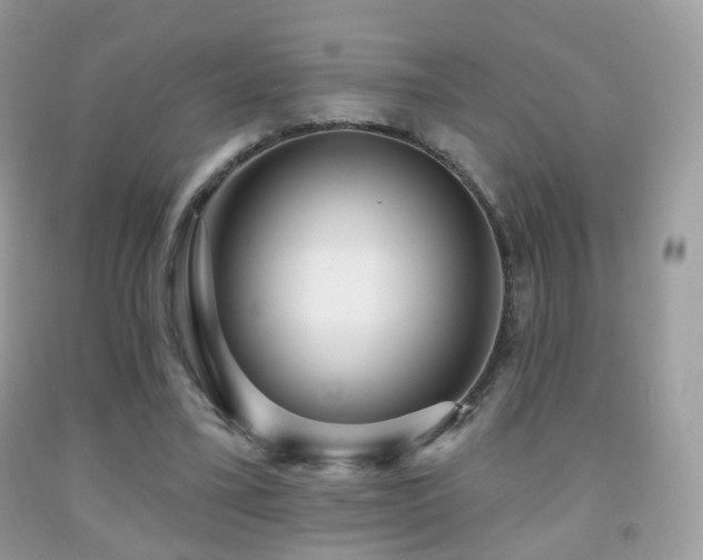 X0000091950395200709061244