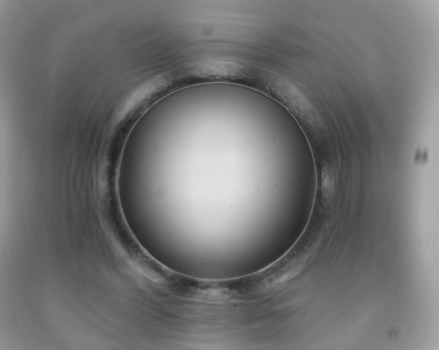 X0000091950396200709061244