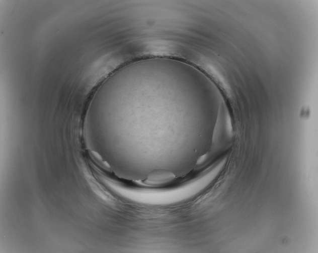 X0000091950397200709061244