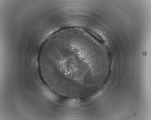 X0000091950398200709061244
