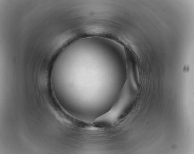 X0000091950400200709061244