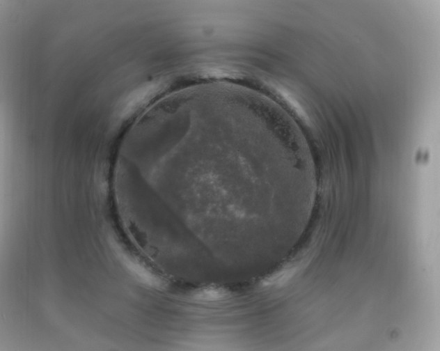 X0000091950402200709061244