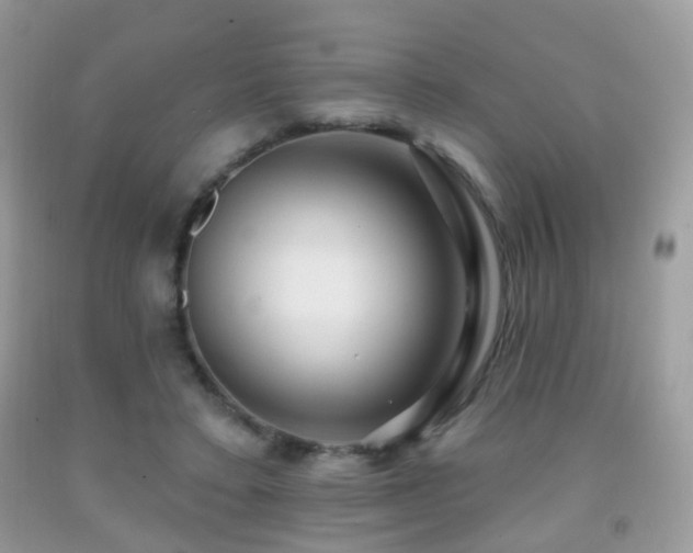 X0000091950403200709061244