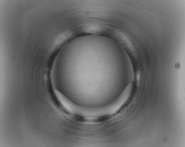 X0000091950404200709061244