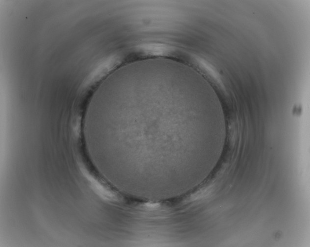 X0000091950406200709061244