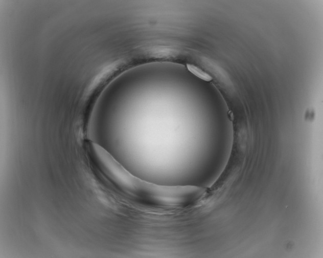 X0000091950407200709061244