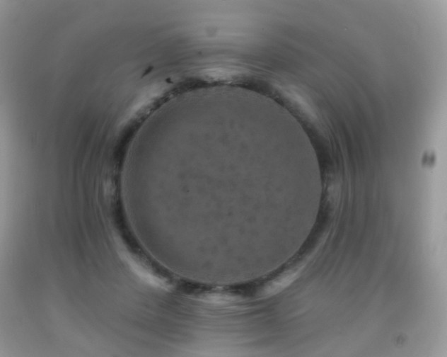 X0000091950408200709061244
