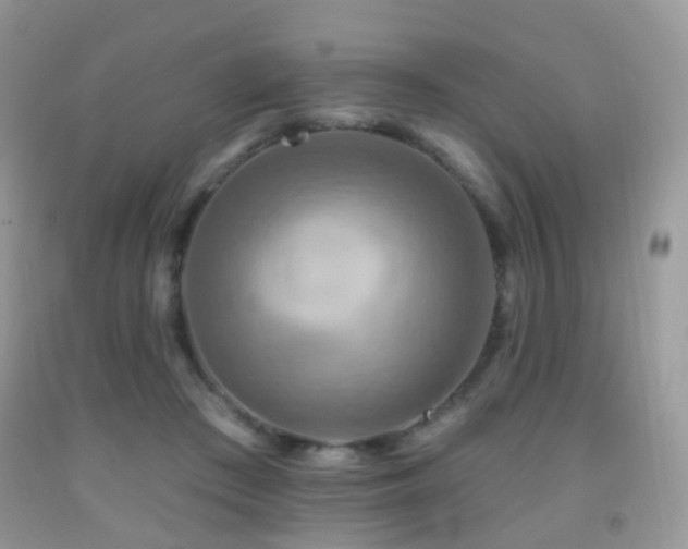 X0000091950409200709061244