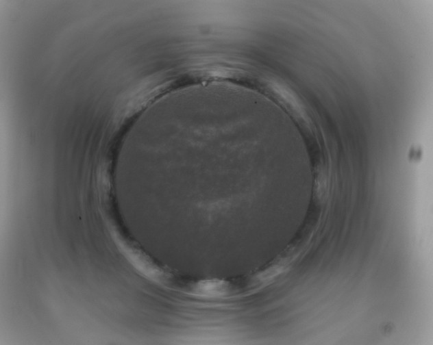 X0000091950410200709061244