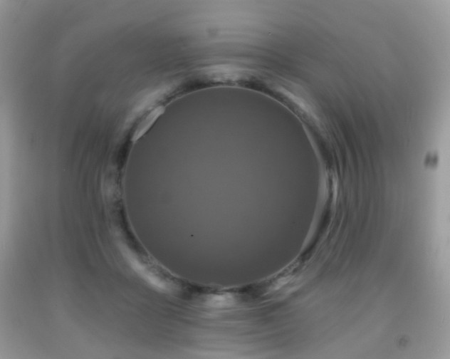 X0000091950411200709061244