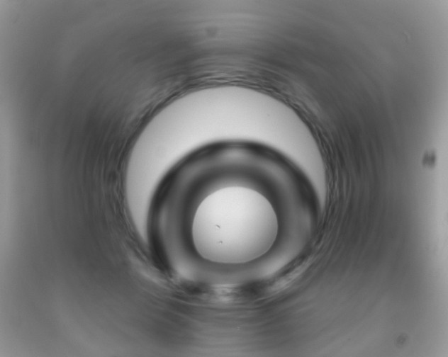 X0000091950412200709061244